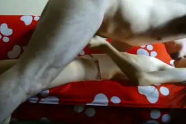 Cewek Bispak Jakarta Live Show Dari Hotel Mewah